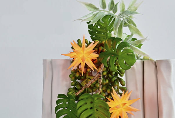 Ein apricot-farbener Herrnhuter Stern in einer Pflanzen-Dekoration