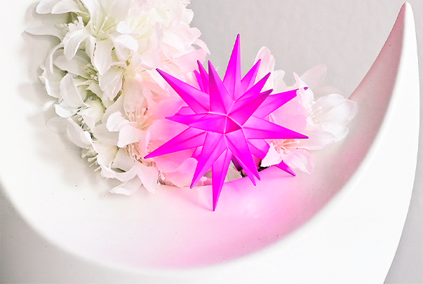 Ein pinker Herrnhuter Stern strahlt in einer weißen Dekoration